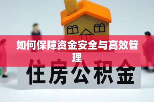 贵定如何保障资金安全与高效管理