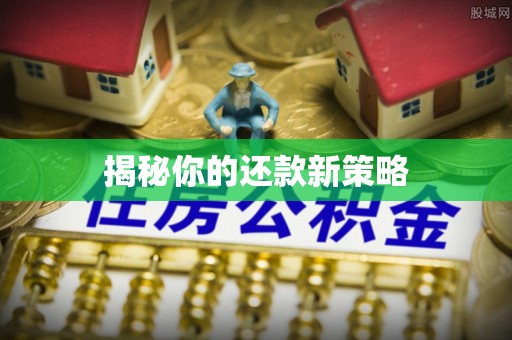 贵定揭秘你的还款新策略