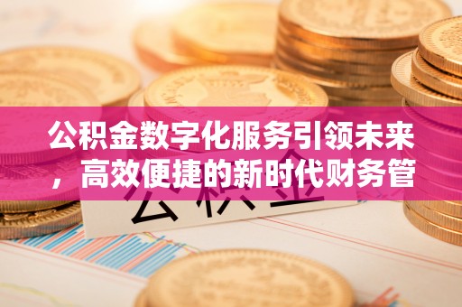 贵定公积金数字化服务引领未来，高效便捷的新时代财务管理