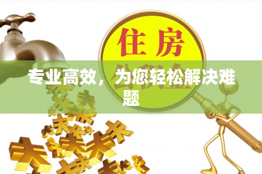 贵定专业高效，为您轻松解决难题