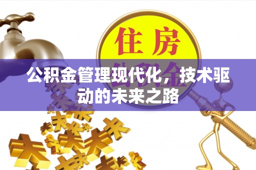 贵定公积金管理现代化，技术驱动的未来之路